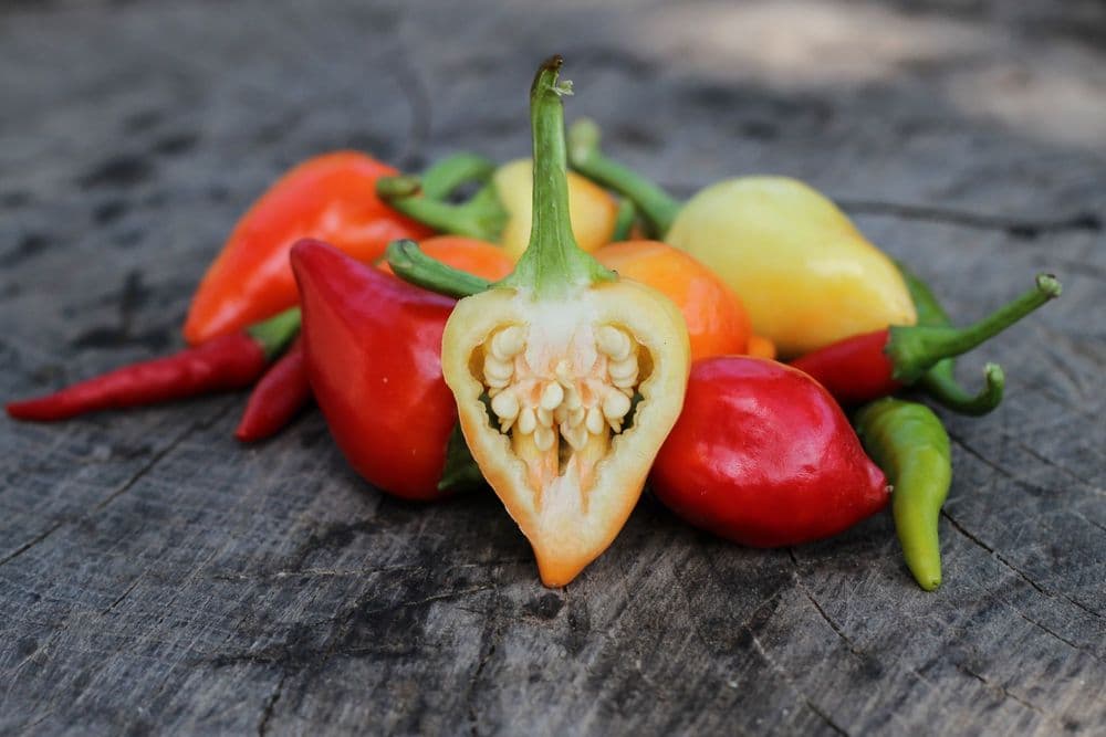 The Quiet Revolution of Peruvian Ají Peppers