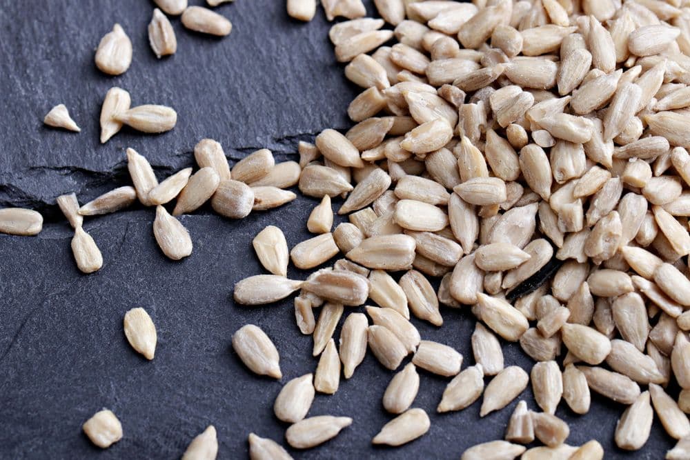 Sunflower Seed Butter and the Quiet Rise of Nut-Free Baking