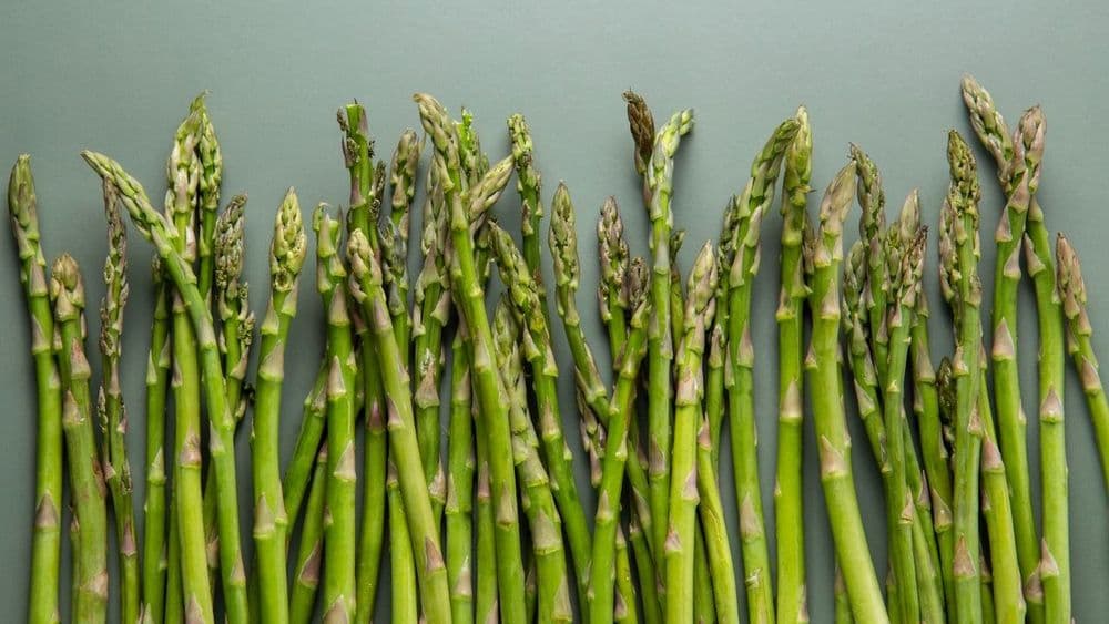 Asparagus in April, the Six-Week Window Worth Planning Around