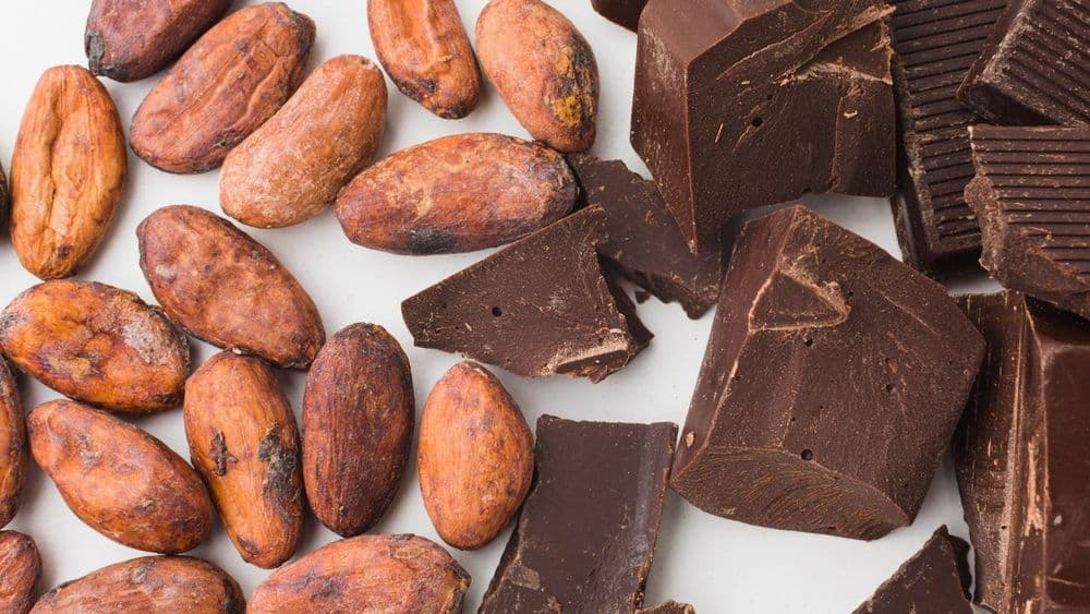 Burro di Cacao e Cervello, la Neuroscienza dei Grassi nella Dieta Chetogenica