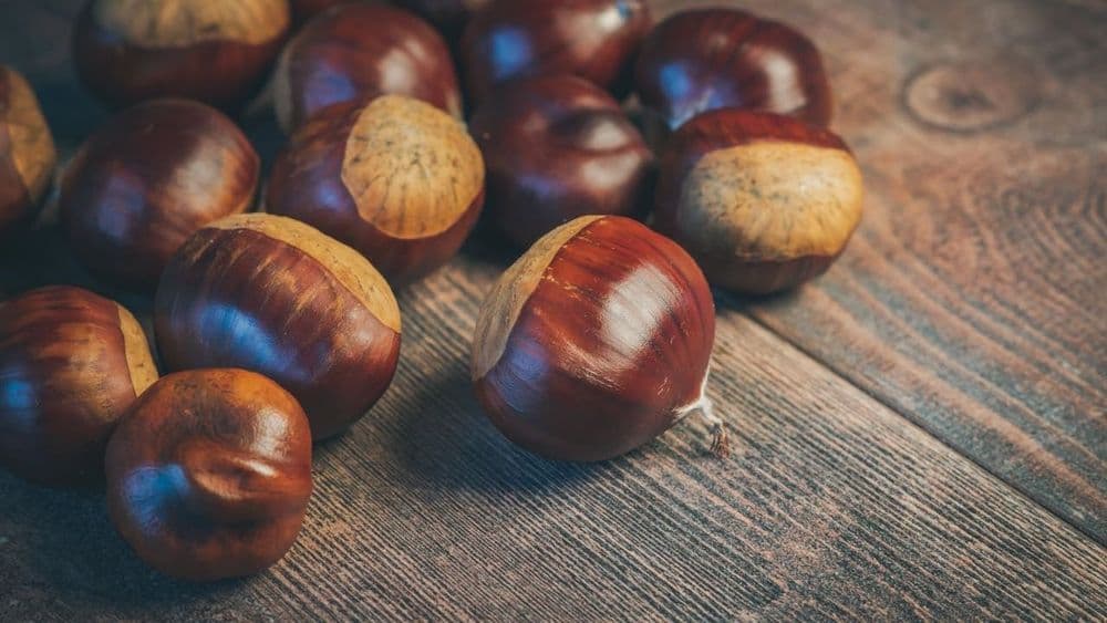 Farina di Castagne, l'Antico Ingrediente che Ridefinisce la Pasticceria Senza Glutine