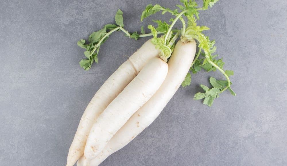 Daikon in the Macrobiotic Kitchen, the Quiet Work of a Radish