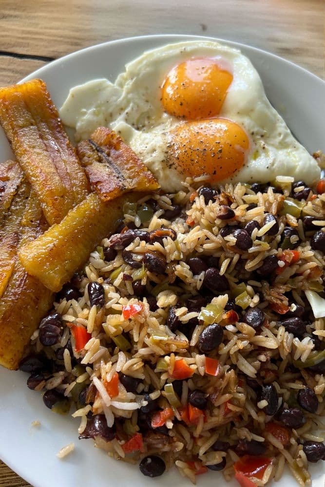 Costa Rican Gallo Pinto