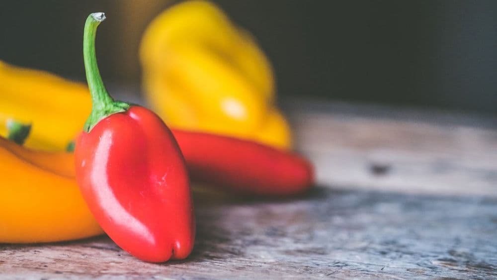 Piment végétarien, le condiment antillais qui transforme riz et féculents en plat complet
