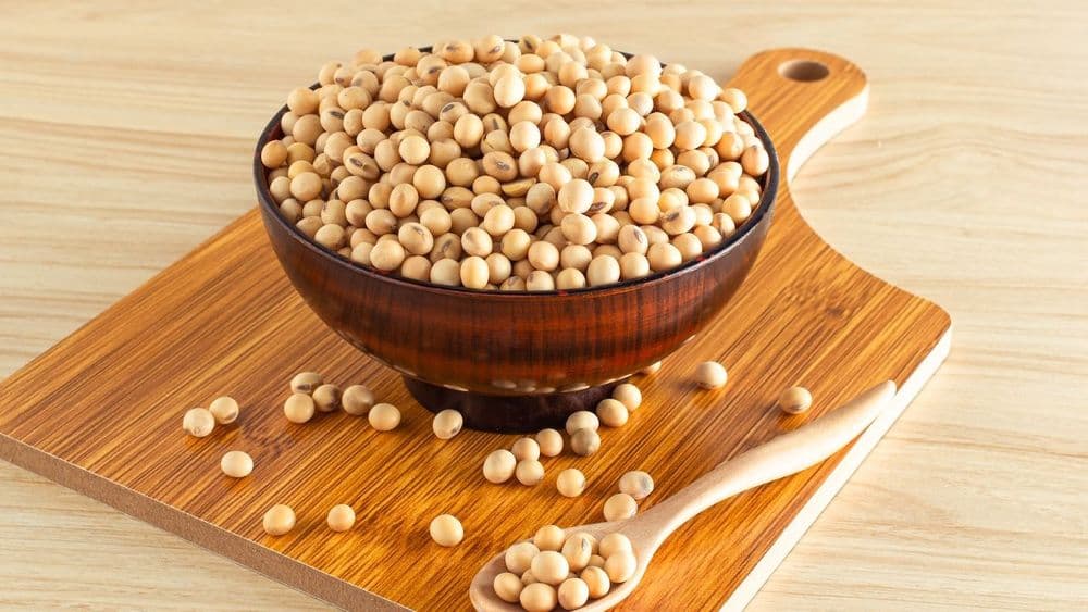 Tempeh, protéines fermentées et saveurs profondes d'Indonésie