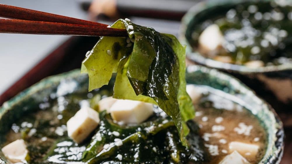 Algas Kombu en Caldo Macrobiótico: Glutamato Natural sin Lista de Aditivos